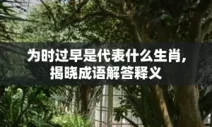 为时过早是代表什么生肖,揭晓成语解答释义