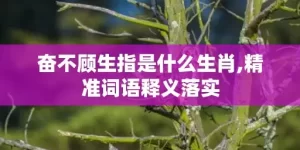 奋不顾生指是什么生肖,精准词语释义落实