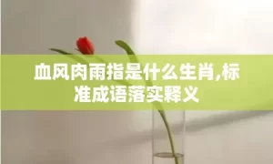 血风肉雨指是什么生肖,标准成语落实释义