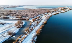 新疆呼图壁：雪后初霁 湿地如画缩略图