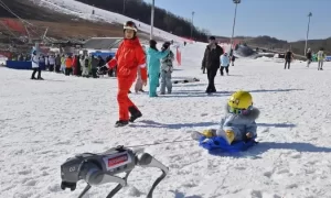 吉林长春：机器狗上岗 服务雪场游客缩略图