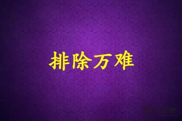 排除万难是什么生肖插图