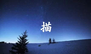 描