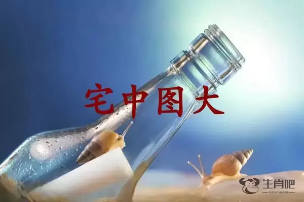 宅中图大是什么生肖插图