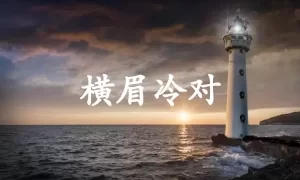 横眉冷对