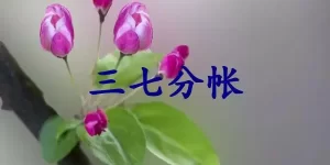 三七分帐