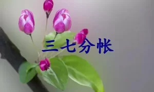 三七分帐