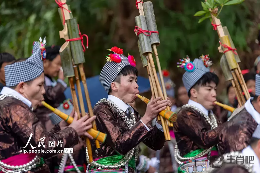 贵州从江：欢度芦笙节插图2