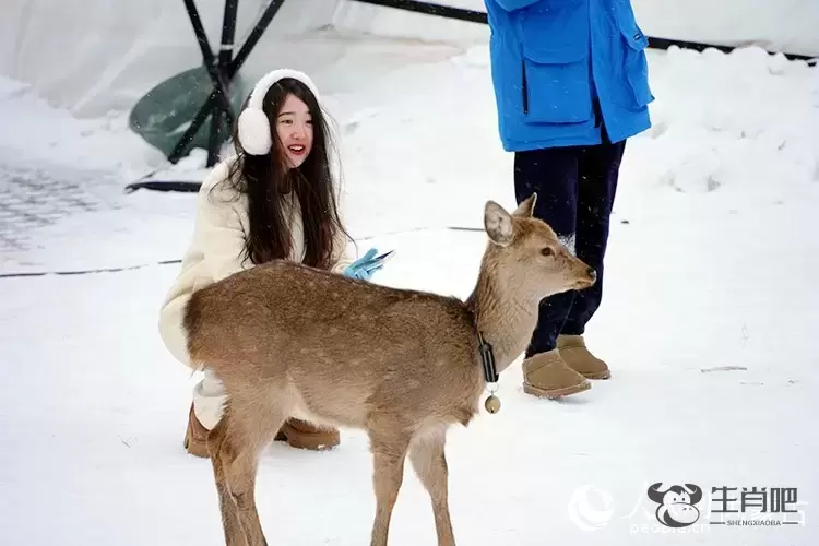 内蒙古呼伦贝尔：穿越大雪原 天天那达慕插图6