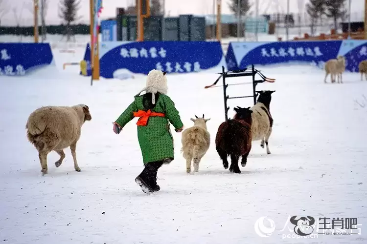 内蒙古呼伦贝尔：穿越大雪原 天天那达慕插图7