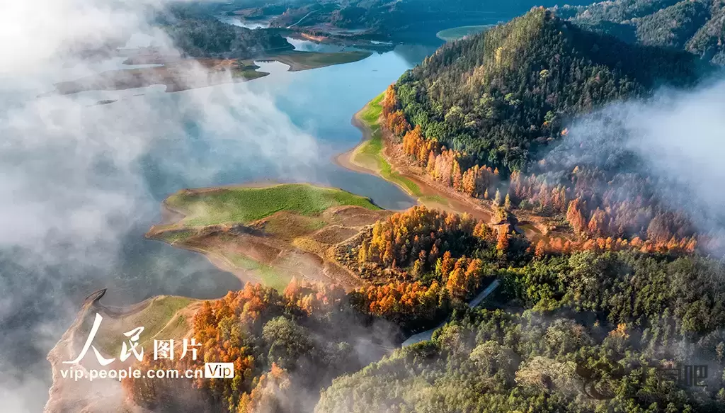 安徽黄山：太平湖红杉林冬日如画插图3