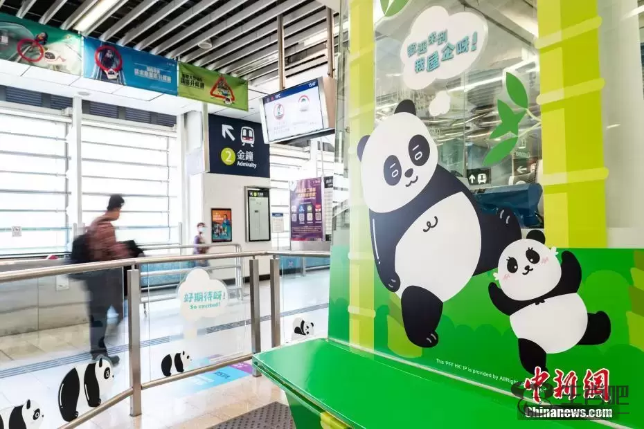 香港港铁公司推出“大熊猫畅游”主题活动插图4