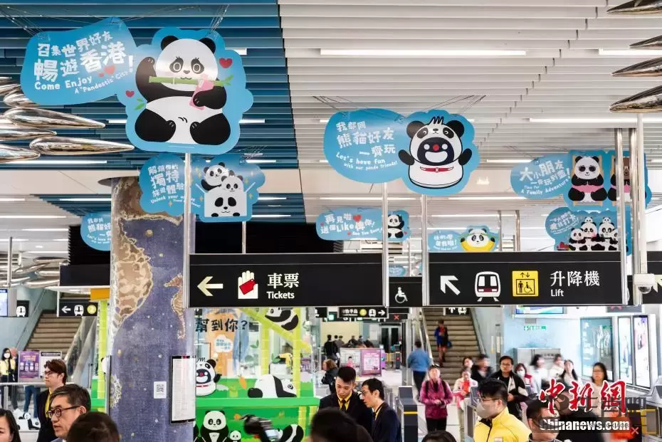香港港铁公司推出“大熊猫畅游”主题活动插图5