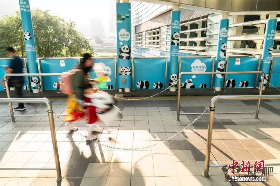 香港港铁公司推出“大熊猫畅游”主题活动插图6