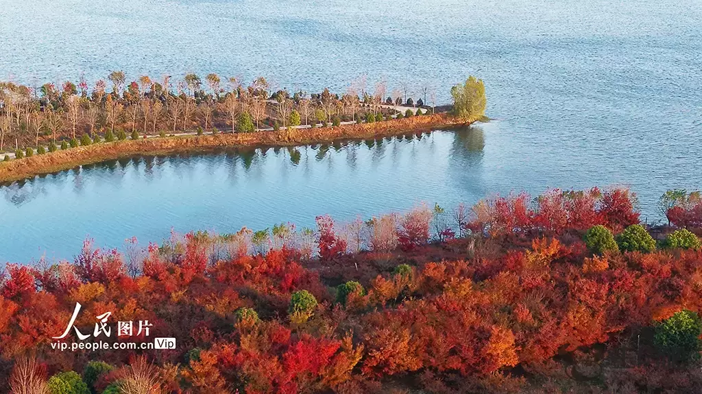 河南南阳：生态水库 冬景如画插图4