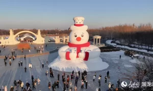 哈尔滨太阳岛大雪人“C位”亮相缩略图