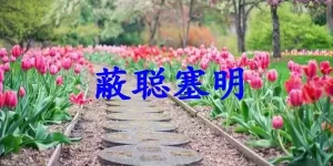 蔽聪塞明