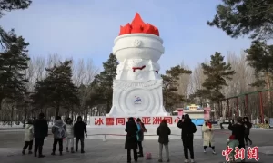 第37届哈尔滨太阳岛雪博会试开园缩略图