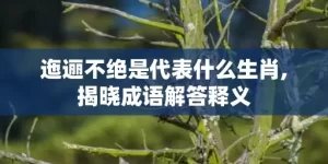 迤逦不绝是代表什么生肖,揭晓成语解答释义