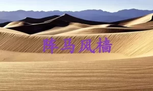 阵马风樯