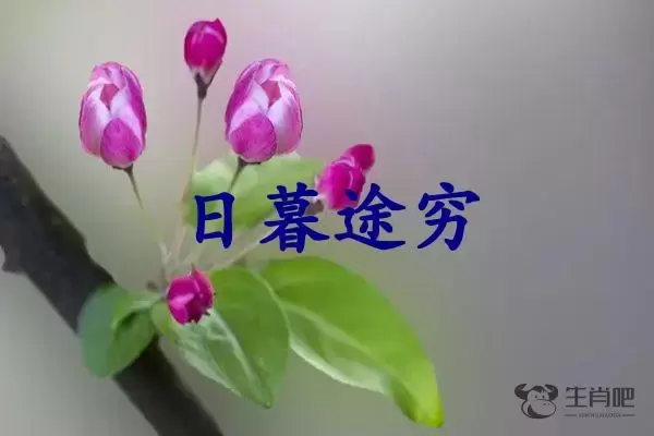 日暮途穷是什么生肖插图