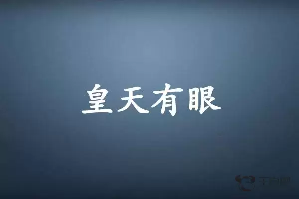 皇天有眼是什么生肖插图