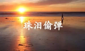 珠泪偷弹