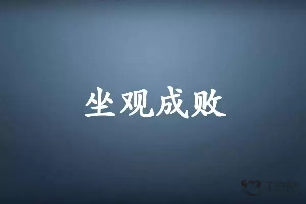 坐观成败是什么生肖插图