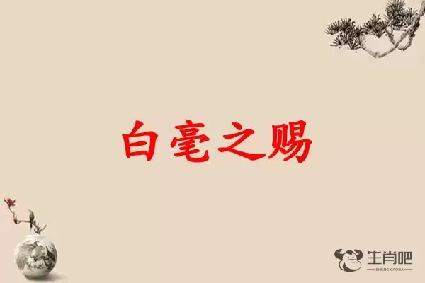 白毫之赐是什么生肖插图