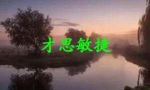 才思敏捷