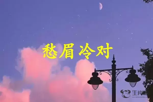 愁眉冷对是什么生肖插图