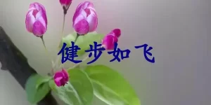 健步如飞