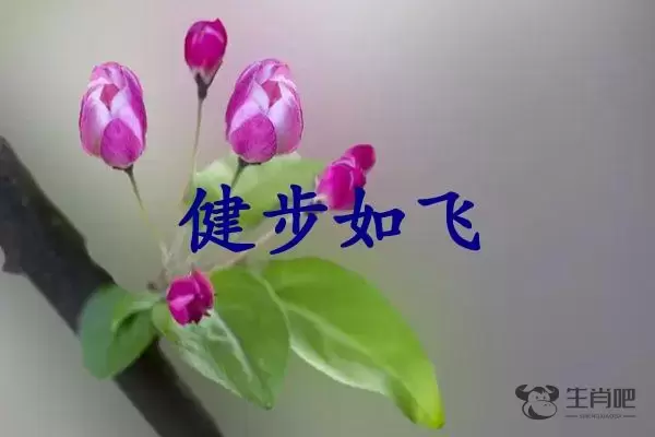 健步如飞是什么生肖插图