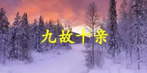 九故十亲