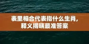 表里相合代表指什么生肖,释义揭晓最准答案