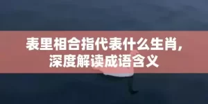 表里相合指代表什么生肖,深度解读成语含义