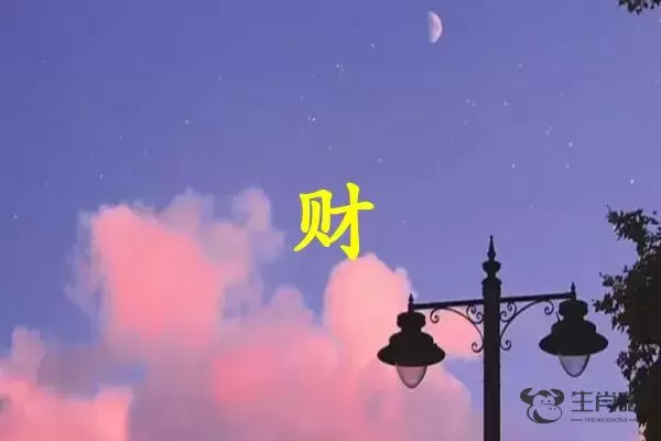 财字打一生肖（财字是什么生肖）插图