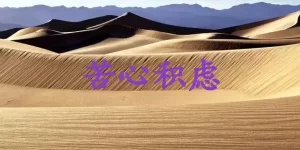 苦心积虑