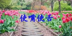 使嘴使舌