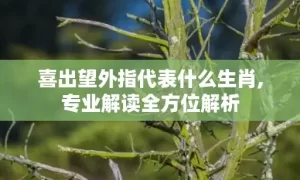 喜出望外指代表什么生肖,专业解读全方位解析缩略图 喜出望外指代表什么生肖,专业解读全方位解析