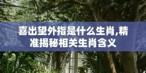 喜出望外指是什么生肖,精准揭秘相关生肖含义