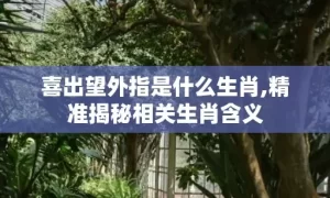 喜出望外指是什么生肖,精准揭秘相关生肖含义缩略图 喜出望外指是什么生肖,精准揭秘相关生肖含义