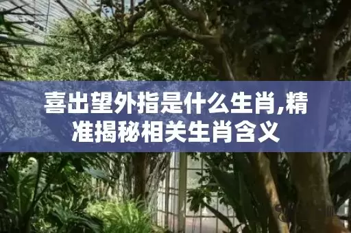 喜出望外指是什么生肖,精准揭秘相关生肖含义插图