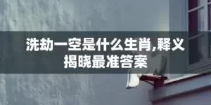 洗劫一空是什么生肖,释义揭晓最准答案