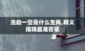 洗劫一空是什么生肖,释义揭晓最准答案缩略图 洗劫一空是什么生肖,释义揭晓最准答案