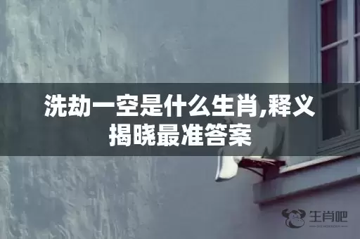 洗劫一空是什么生肖,释义揭晓最准答案插图