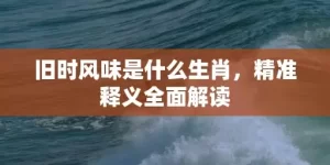 旧时风味是什么生肖，精准释义全面解读