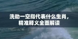 洗劫一空指代表什么生肖，精准释义全面解读