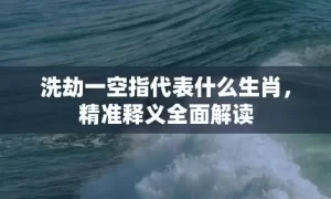 洗劫一空指代表什么生肖,精准释义全面解读缩略图 洗劫一空指代表什么生肖,精准释义全面解读