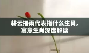 耕云播雨代表指什么生肖,寓意生肖深度解读缩略图 耕云播雨代表指什么生肖,寓意生肖深度解读